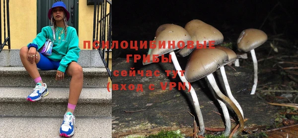 скорость Абаза